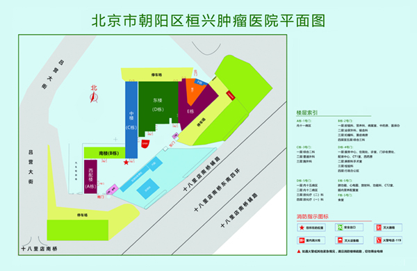 搞屄网站北京市朝阳区桓兴肿瘤医院平面图